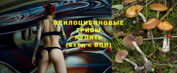 mdpv Верея