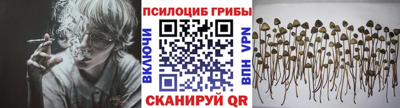 Псилоцибиновые грибы ЛСД  Воронеж 